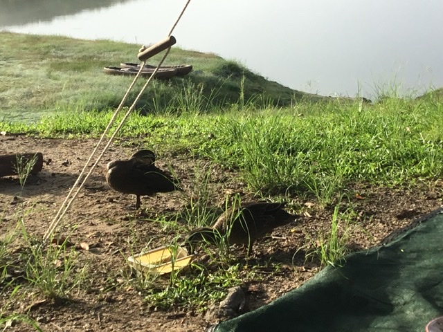 Bill Kirkwood photography