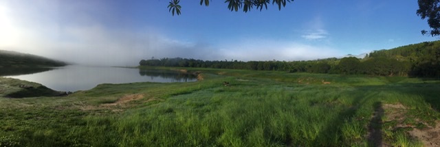 ©️Billkirkwood photography